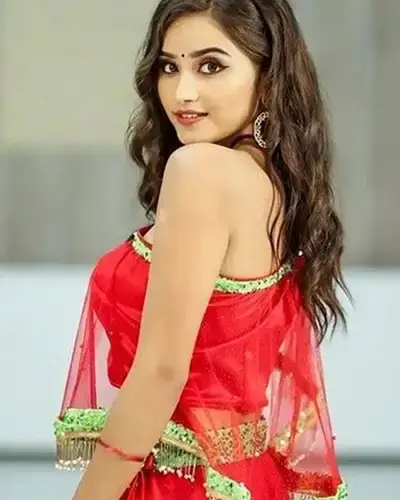 Call Girls Service Gournagar